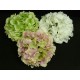 Hortensia artificiel